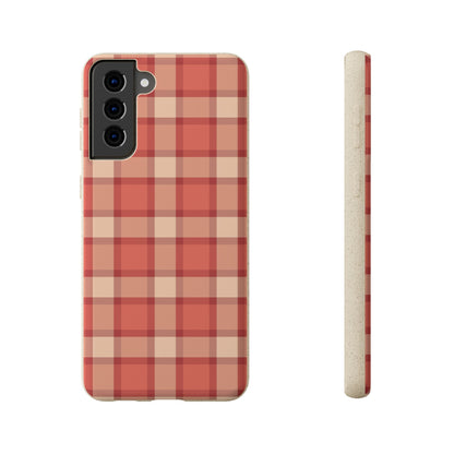 Terracotta Picnic | Biodegradable