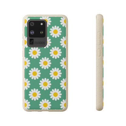 Minty Daisy | Biodegradable
